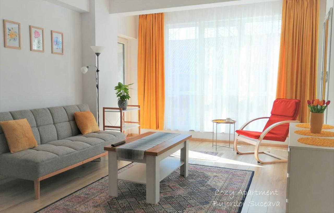 Cozy Apartment Bujorilor Suceava Exterior photo