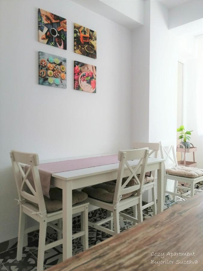 Cozy Apartment Bujorilor Suceava Exterior photo