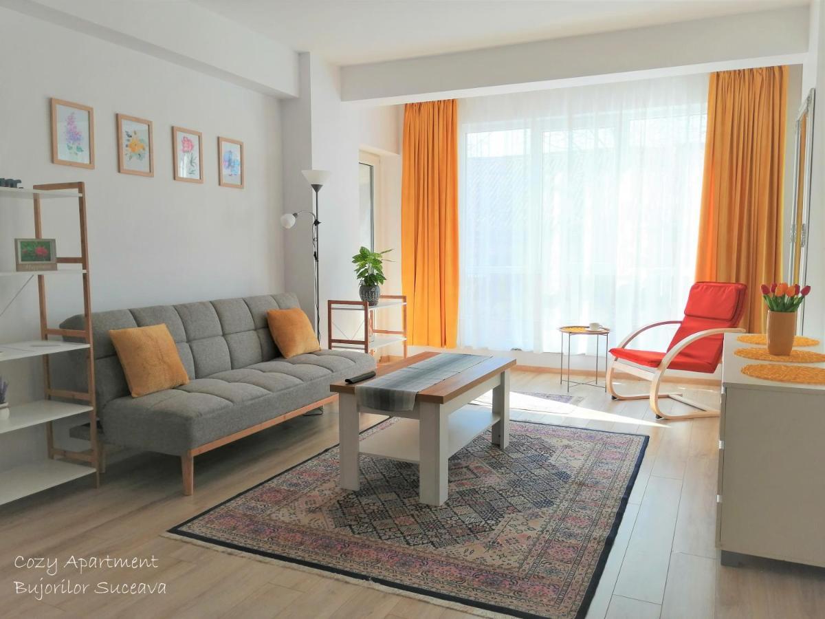Cozy Apartment Bujorilor Suceava Exterior photo