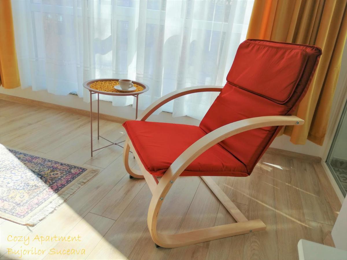 Cozy Apartment Bujorilor Suceava Exterior photo