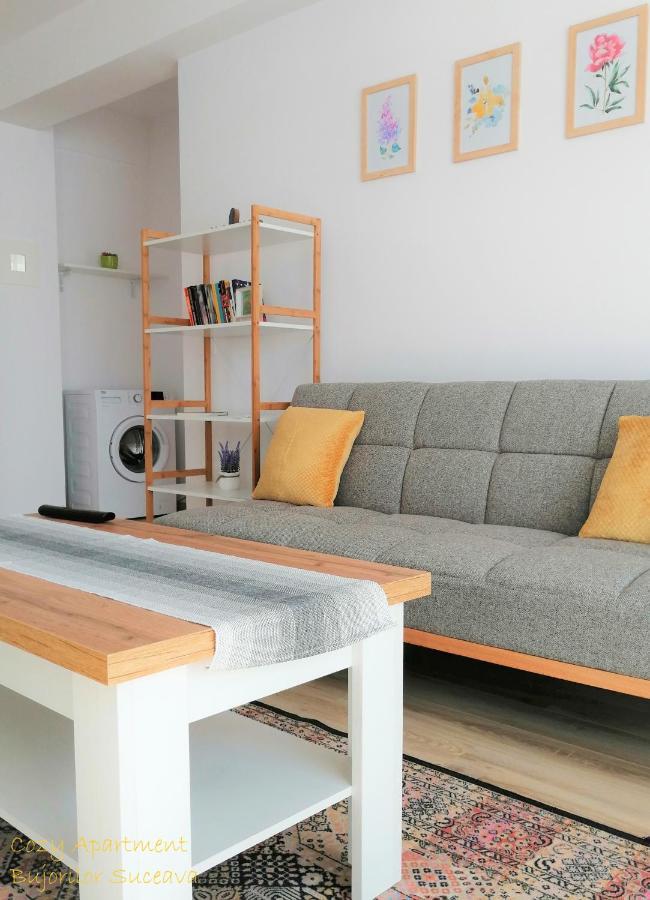 Cozy Apartment Bujorilor Suceava Exterior photo
