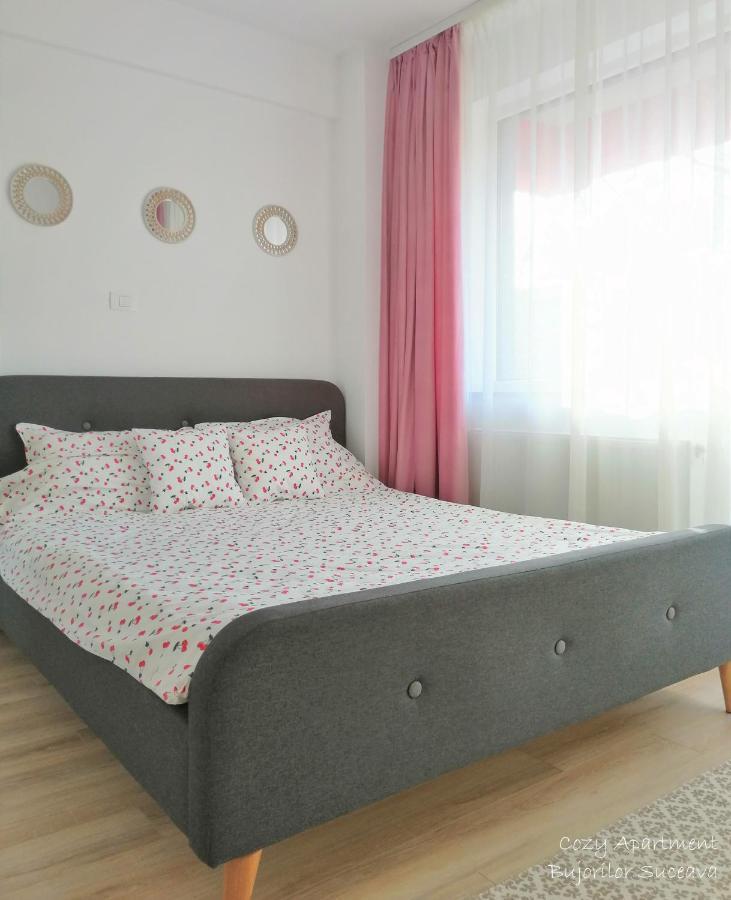 Cozy Apartment Bujorilor Suceava Exterior photo