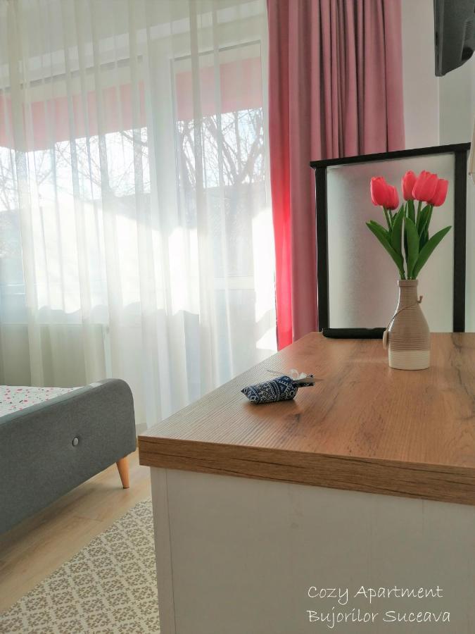 Cozy Apartment Bujorilor Suceava Exterior photo