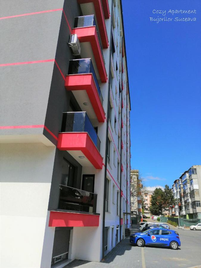 Cozy Apartment Bujorilor Suceava Exterior photo